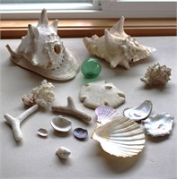 Sea Shells - Coral & Glass Float Lot