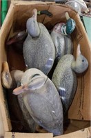 6 Plastic duck decoys