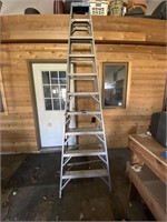 Werner 10 Foot Step Ladder
