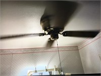 Ceiling fan