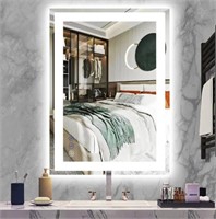 THEKLA 20 x 30 Inch Bathroom Vanity Mirror with