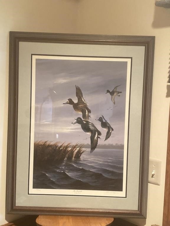 Signed & Numbered Lynn Kaatz Duck Print