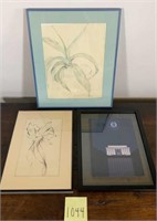 Collection of Botanical Illustrations New Yorker