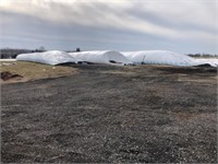 200-Ton of Dairy Quality Corn Silage *