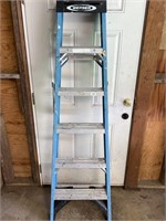 Wagner 6ft Fiberglass Step Ladder