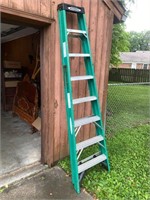 Werner Ladder