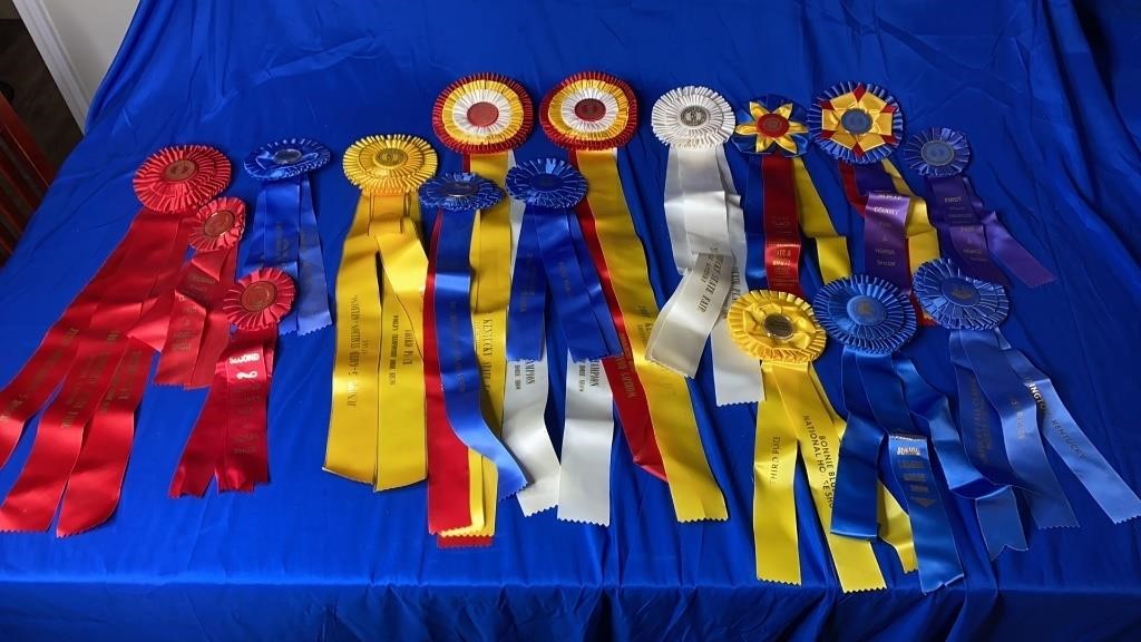 16 Horse Show Ribbons From Various Shows &