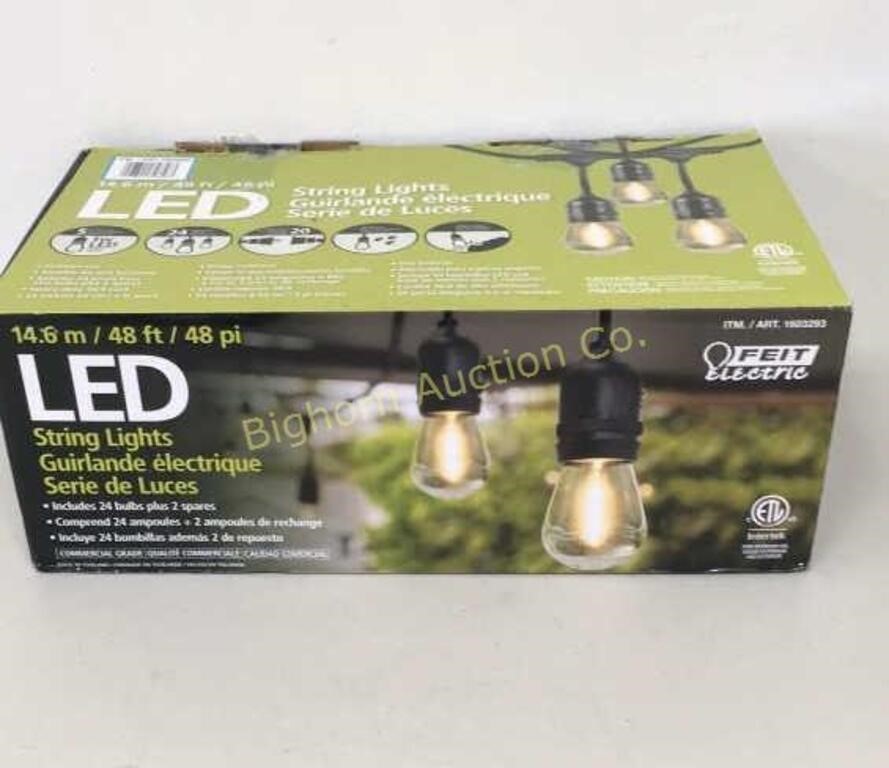 LED String Lights, 24 Bulbs +2 Spares, 48"Ft