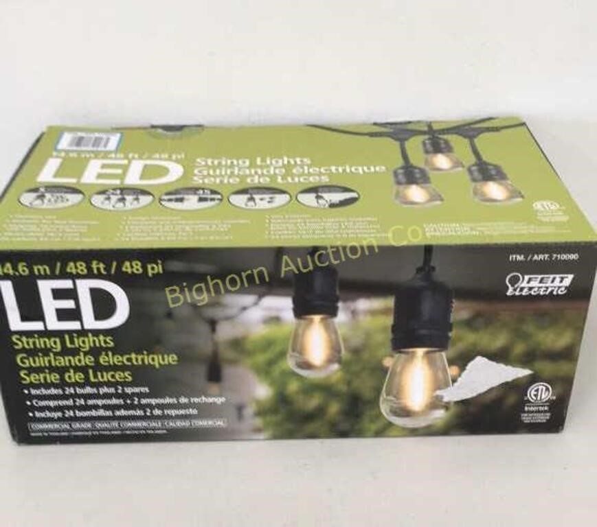 LED String Lights, 24 Bulbs +2 Spares, 48"Ft