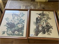 Audubon Framed Bird Prints (2 x bid)