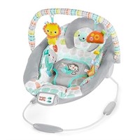 Bright Starts Comfy Baby Bouncer Soothing