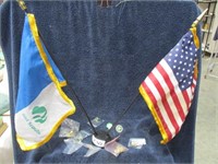 Girls Scout flags and pins