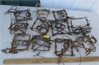 11 conibear traps, used