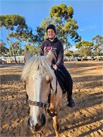 (SA) ROSE - WELSH/ARABIAN RIDING PONY MARE