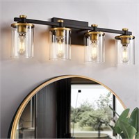 diniluse Bathroom Vanity Light 4-Light, Black and