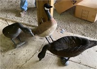 3 - Canadian Geese Decoys