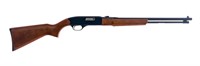 Winchester 190 .22 L LR Semi Auto Rifle