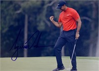 Autograph  Tiger Woods Photo