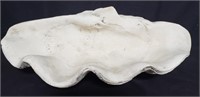 Composite clam shell bowl