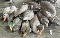 12 - Plastic Duck Decoys