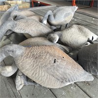 10 - Canadian Goose Decoys