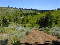 Modoc County, California Summer Retreat!