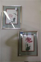 Framed Pair of Botanicals