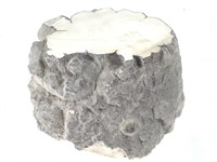 Howlite Nodule Section, California