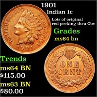 1901 Indian 1c Grades Choice Unc BN