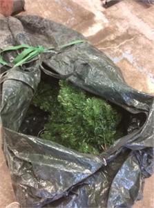 Christmas tree in bag
