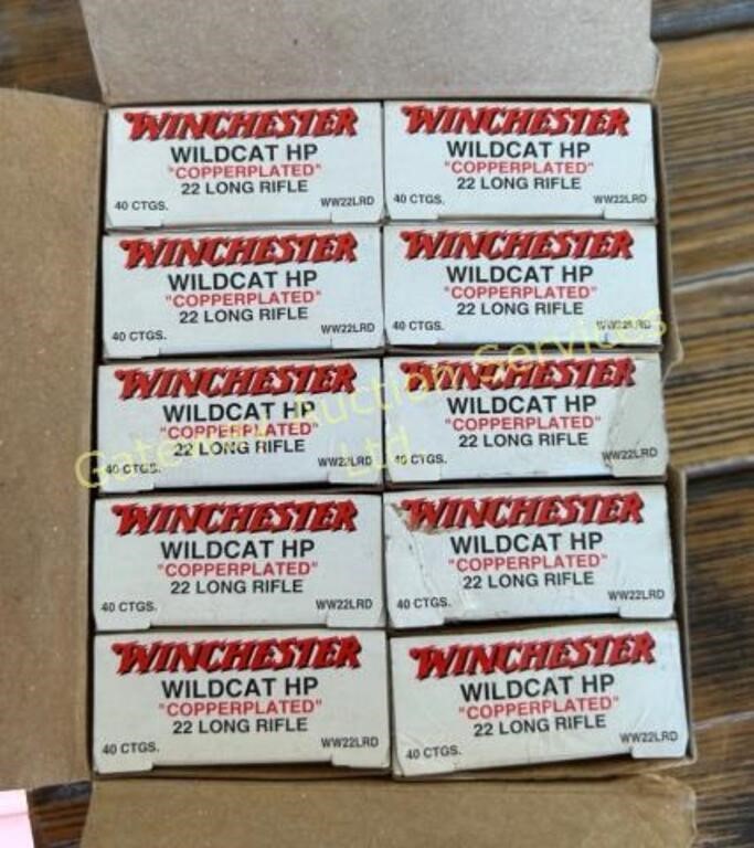 Winchester Wildcat HP 22 Long Rifle Copperplated
