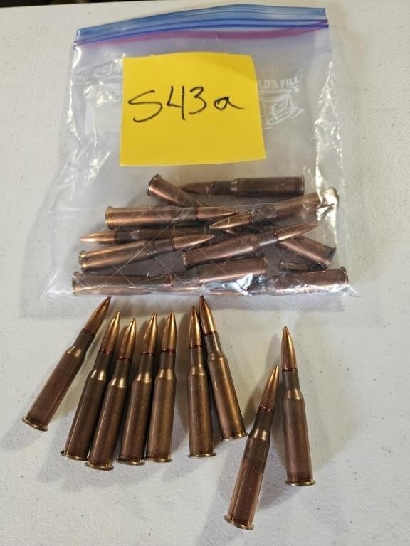 7.62 Shells - Qty 20