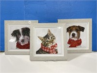 3 Framed Prints - 2 Dogs, 1 Cat 10 x 10 "
