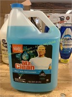 Mr Clean 1gal.