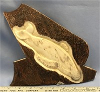 Approx. 11" x 7 1/2" section of a moose antler wit