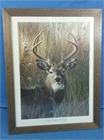 Wooden framed picture of deer 21x27H