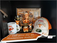 GO VOLS LOT!