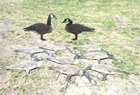 10 Silhouette Goose decoys