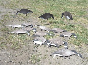 14 Silhouette Goose decoys