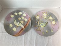 Two Hand Painted Decorative Bird Plates