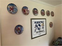 Albemarle bulldogs print and plates