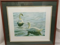 Swan print "Swan Light" signed Christopher White