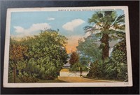 1900 Postcard Tropical Galveston Texas !!