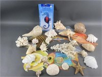 Lot Of Seashells Coral & More