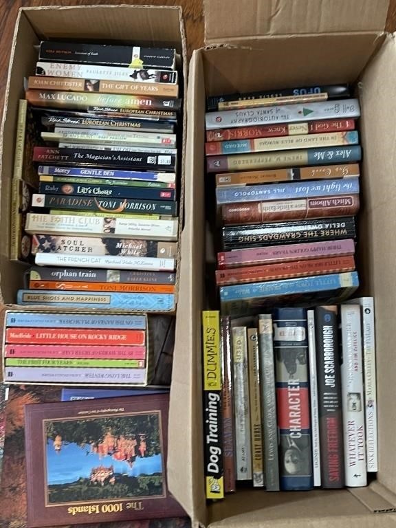 Mixed Genre Lot of Paperback Books, as pictured