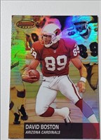 Shiny David Boston Arizona Cardinals