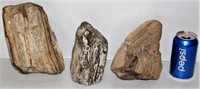 3 Nice Pieces of Petrified Wood Stone