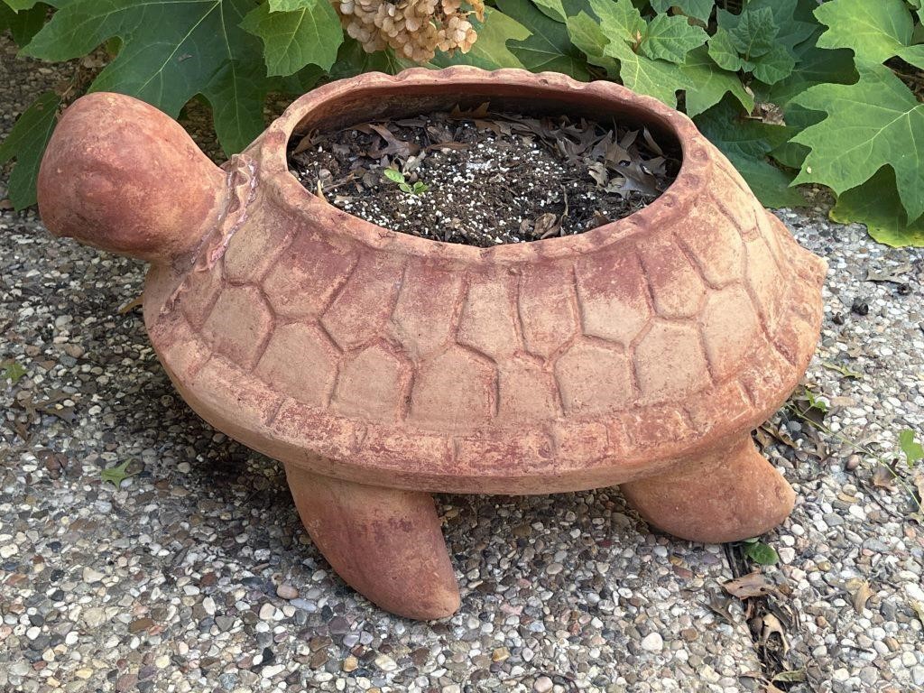 Large Terra-Cotta Turtle Planter