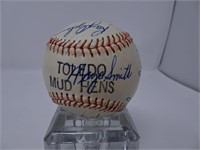 (18) 67' Tigers Autos On Toledo Mud Hens Baseball