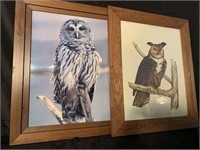 - E. Rambow Signed Owl Print & Owl Photo